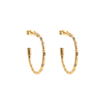 Load image into Gallery viewer, Gold plated steel hoops
